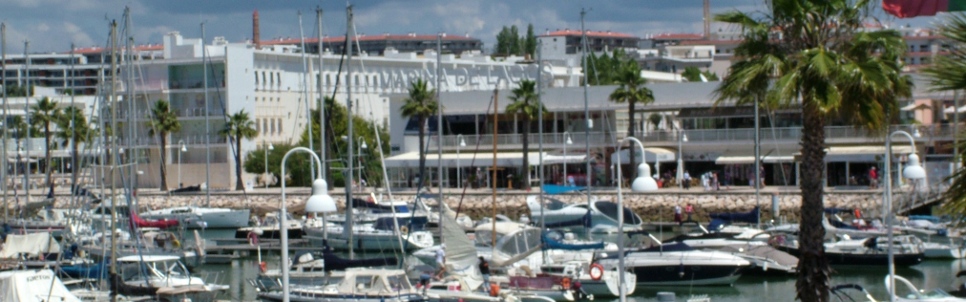 Marina Views