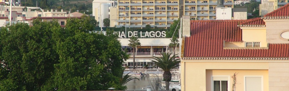 Views of the marina